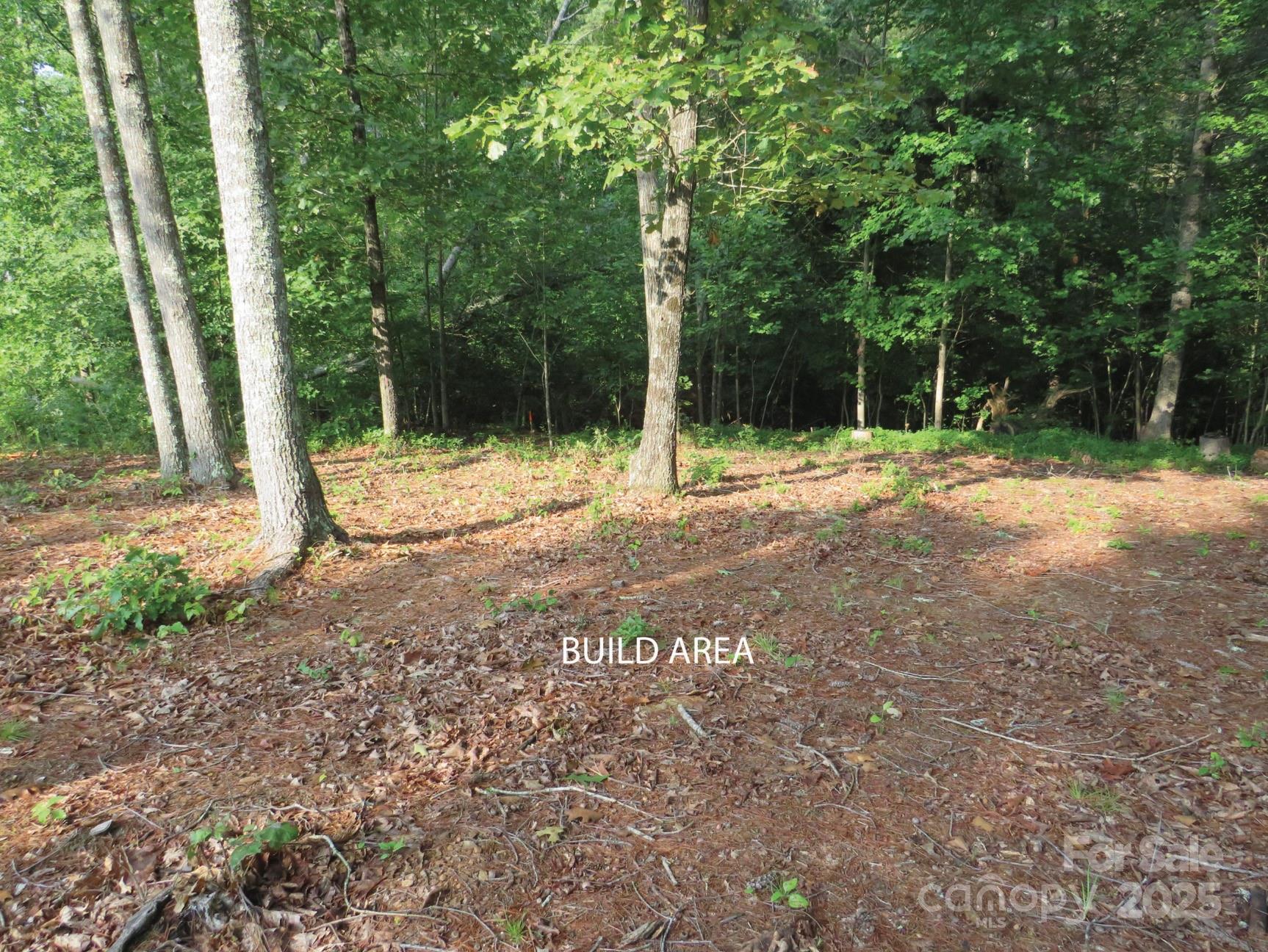 3125 Bear Paw Avenue NW Valdese NC 28690