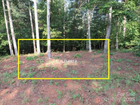 3125 Bear Paw Avenue NW Valdese NC 28690