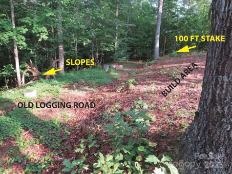 3125 Bear Paw Avenue NW Valdese NC 28690