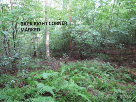 3125 Bear Paw Avenue NW Valdese NC 28690