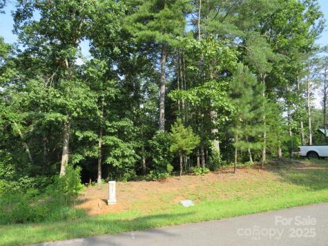 3125 Bear Paw Avenue NW Valdese NC 28690