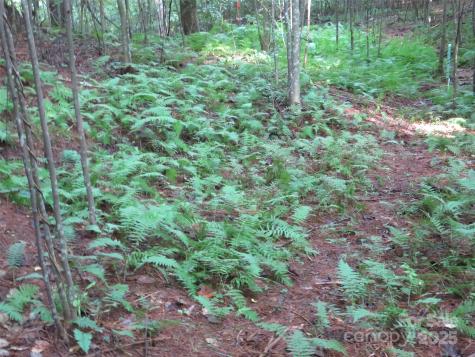 3125 Bear Paw Avenue NW Valdese NC 28690