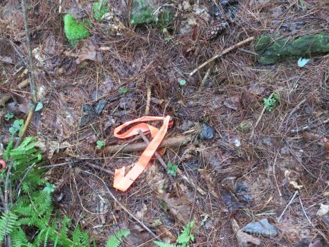 3125 Bear Paw Avenue NW Valdese NC 28690