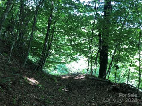 000 N Blue Ridge Parkway E Jefferson NC 28640