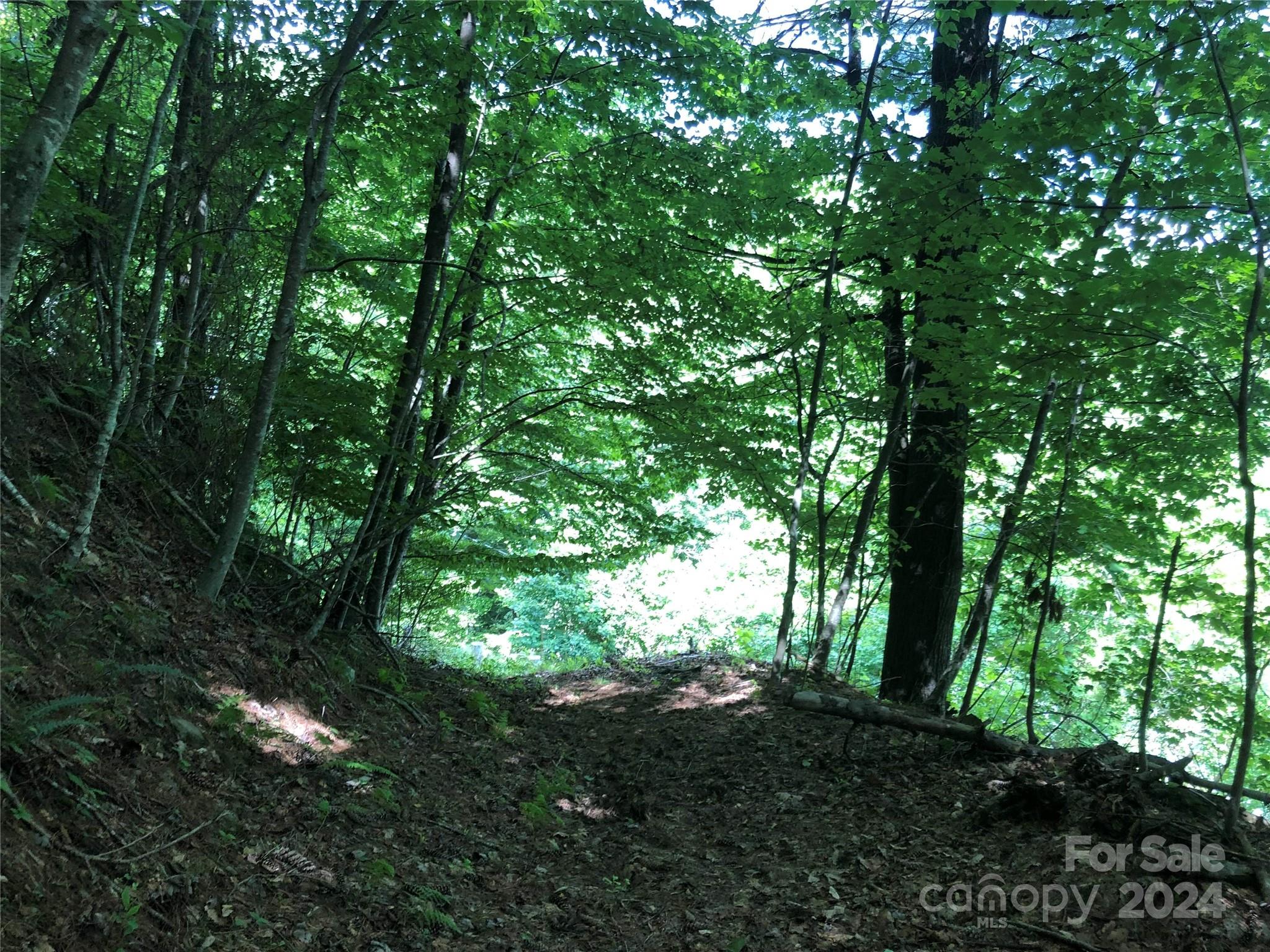 000 N Blue Ridge Parkway E Jefferson NC 28640