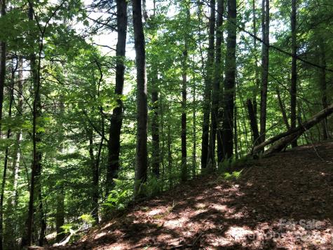 000 N Blue Ridge Parkway E Jefferson NC 28640