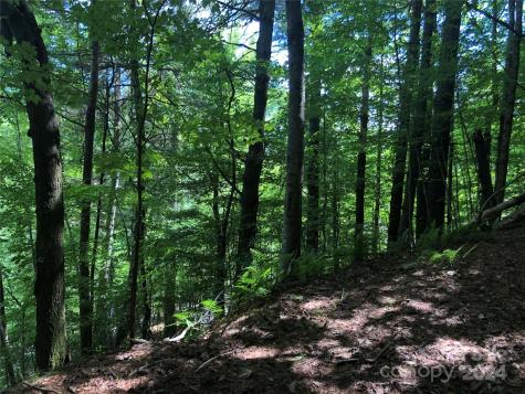 000 N Blue Ridge Parkway E Jefferson NC 28640