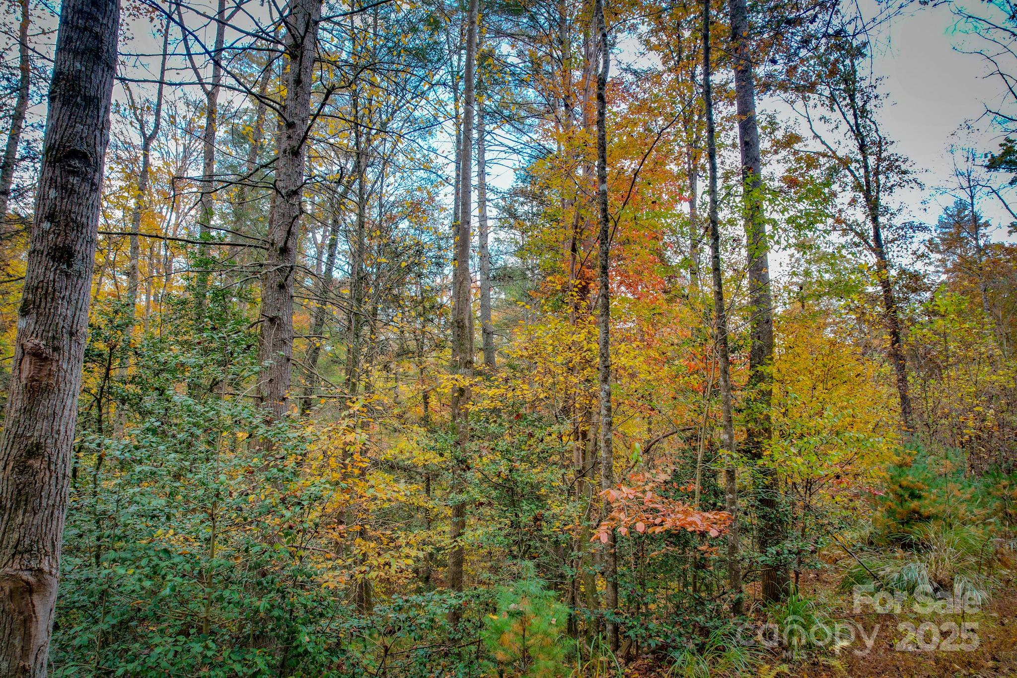 00 Grandin Road Lenoir NC 28645