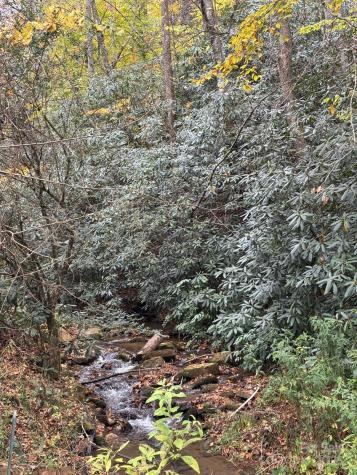 00 Pumpkintown Road Sylva NC 28779