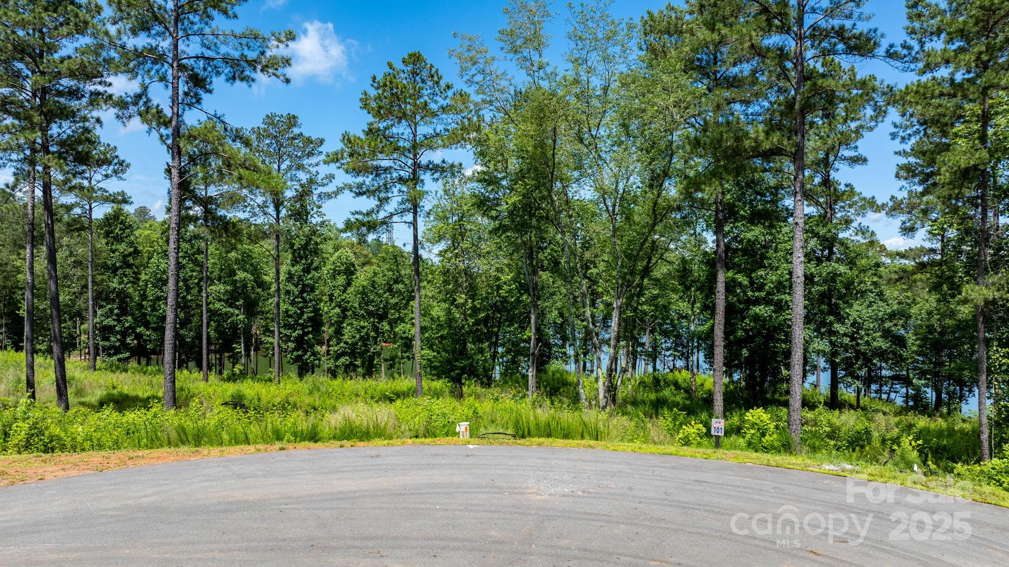 3085 Jumping Run Connelly Springs NC 28612