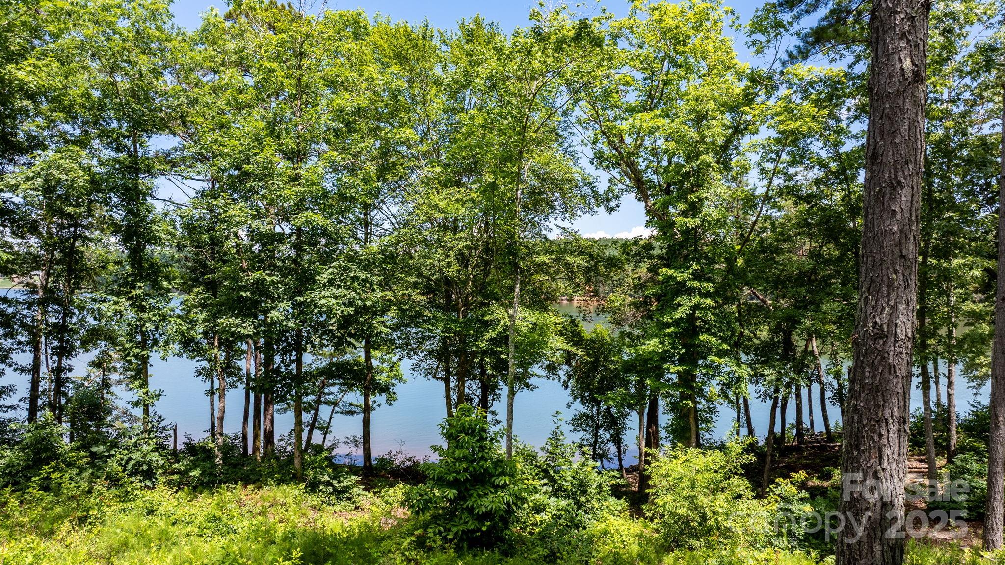 3085 Jumping Run Connelly Springs NC 28612