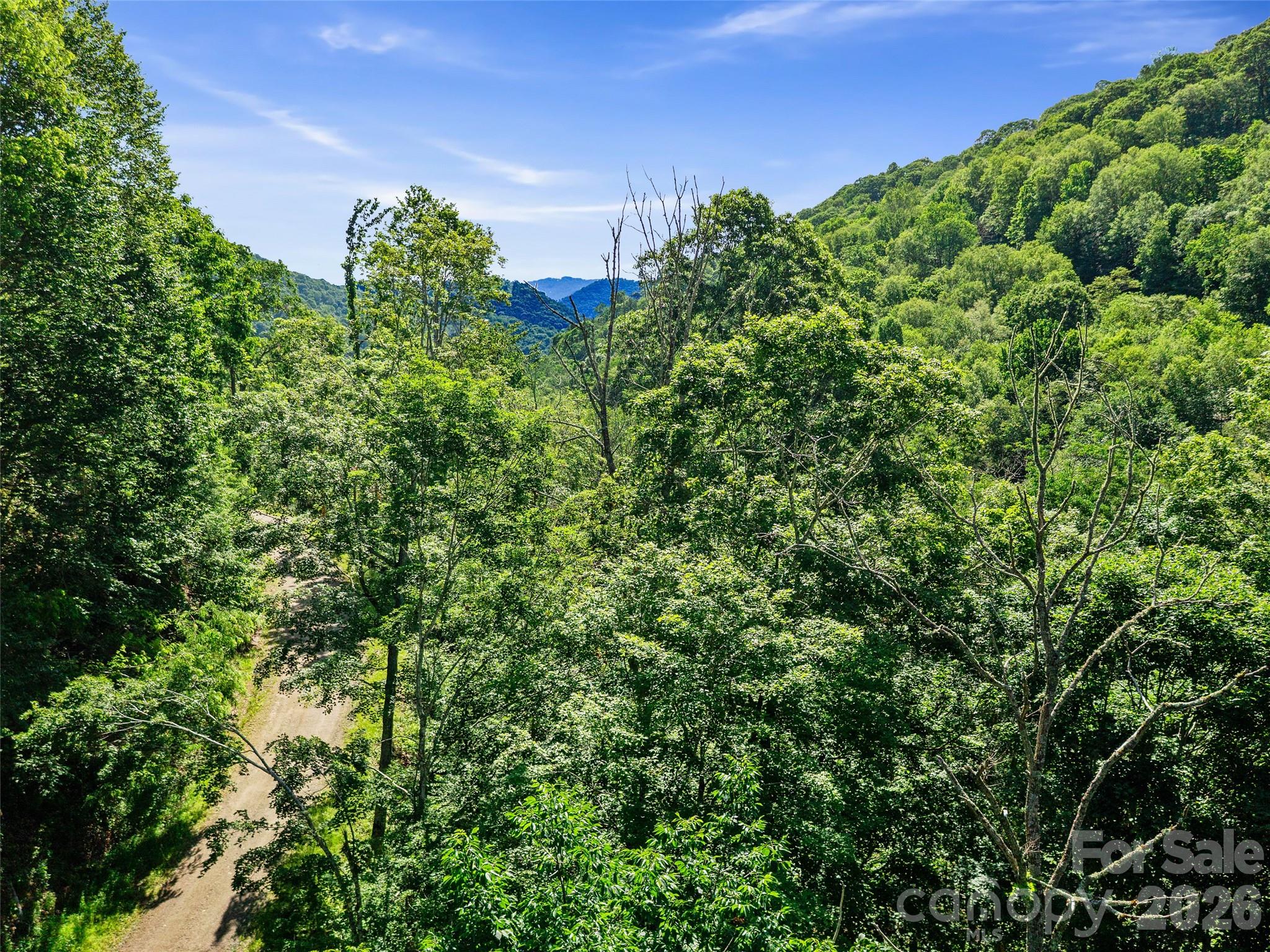 0 Chestnut Lane Mars Hill NC 28754