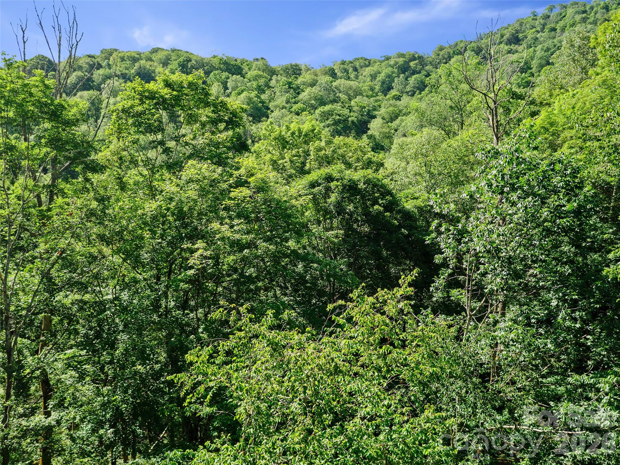 0 Chestnut Lane Mars Hill NC 28754