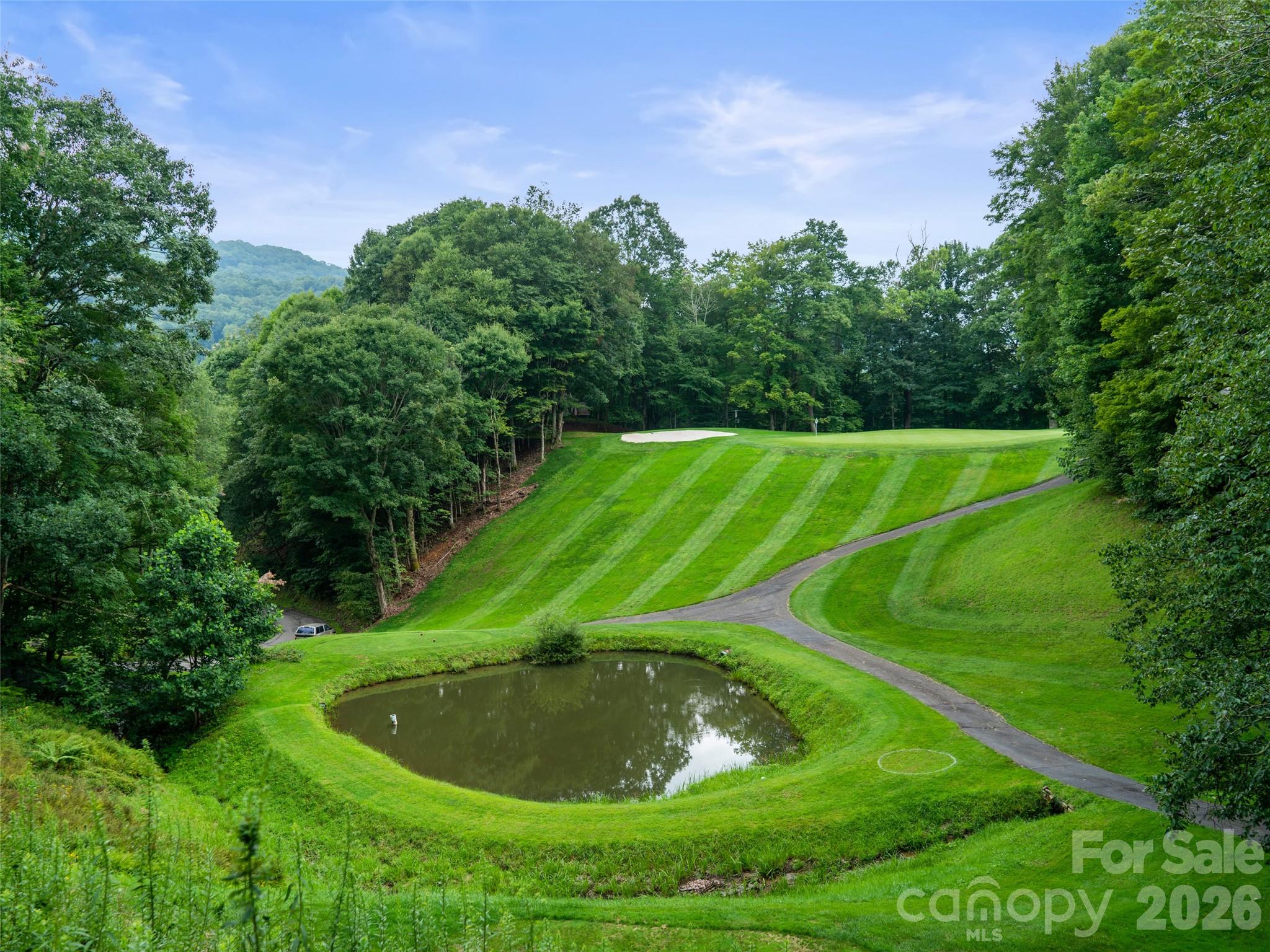 0 Chestnut Lane Mars Hill NC 28754