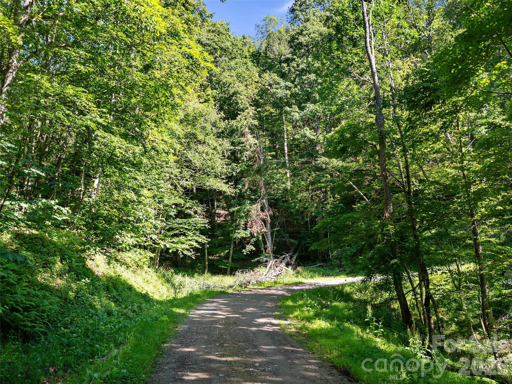 0 Chestnut Lane Mars Hill NC 28754