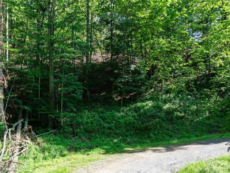 0 Chestnut Lane Mars Hill NC 28754