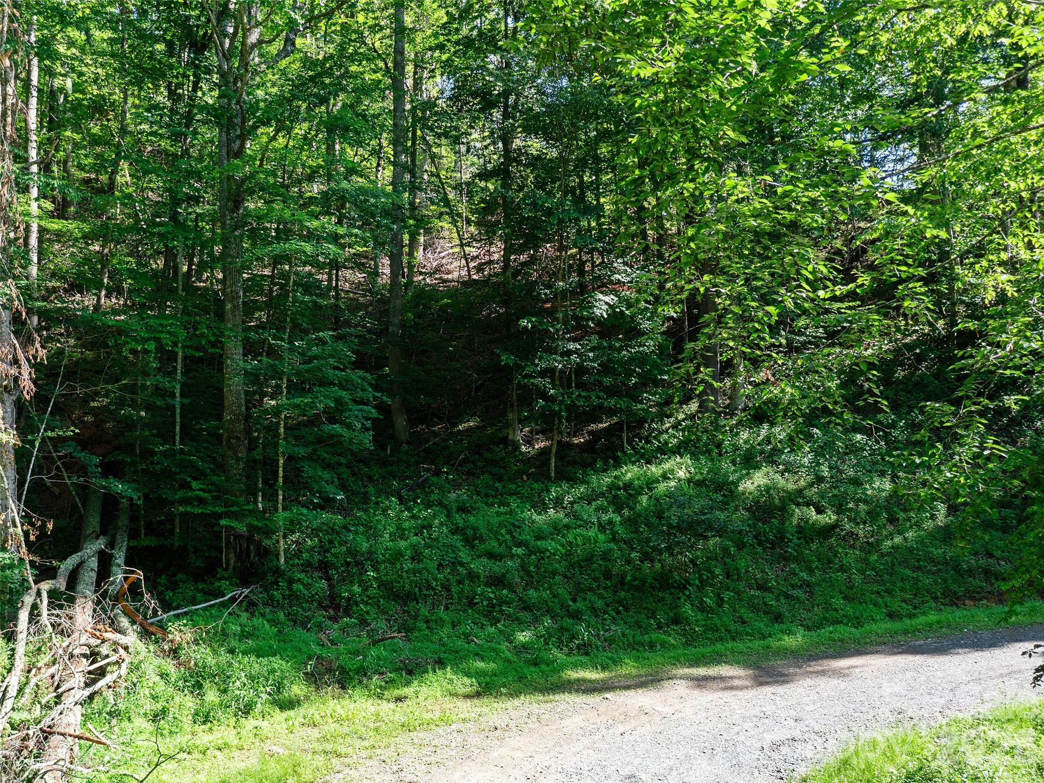 0 Chestnut Lane Mars Hill NC 28754