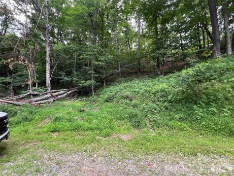 0 Chestnut Lane Mars Hill NC 28754