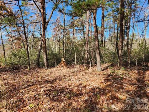 0 Sparrows Way Lake Lure NC 28746
