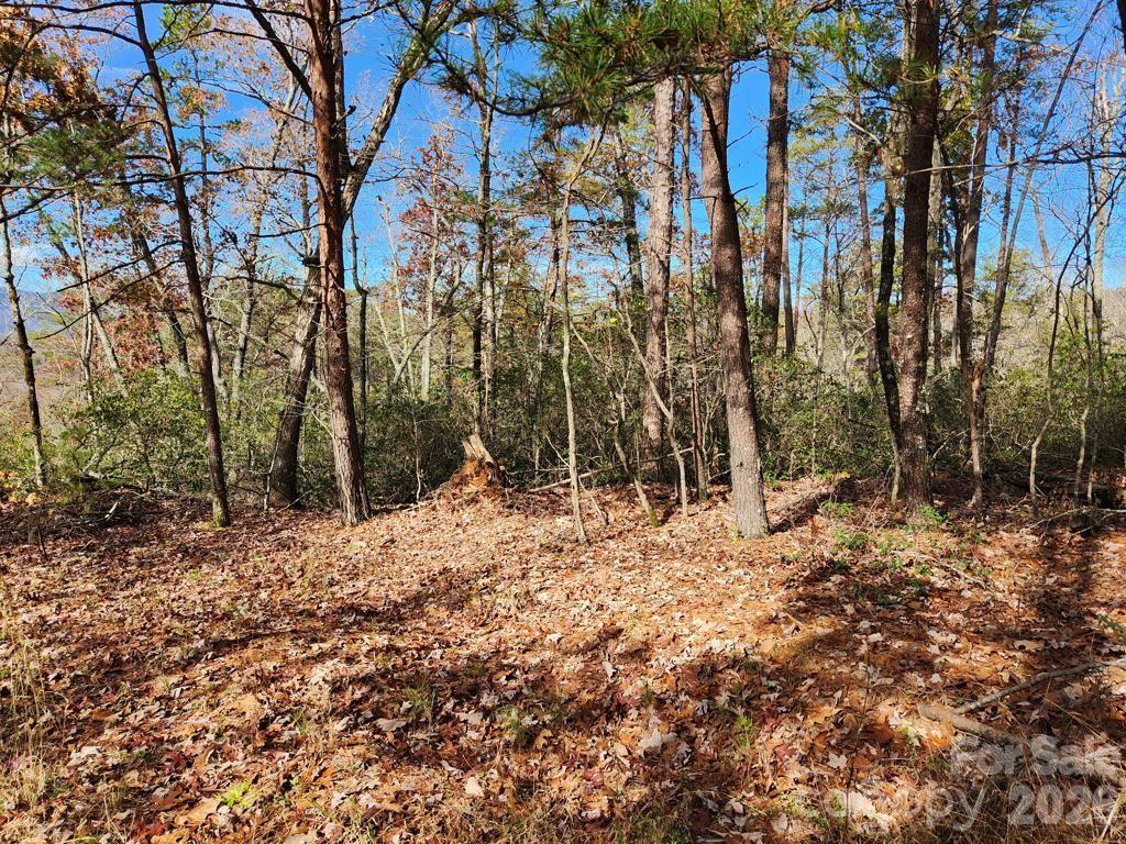 0 Sparrows Way Lake Lure NC 28746