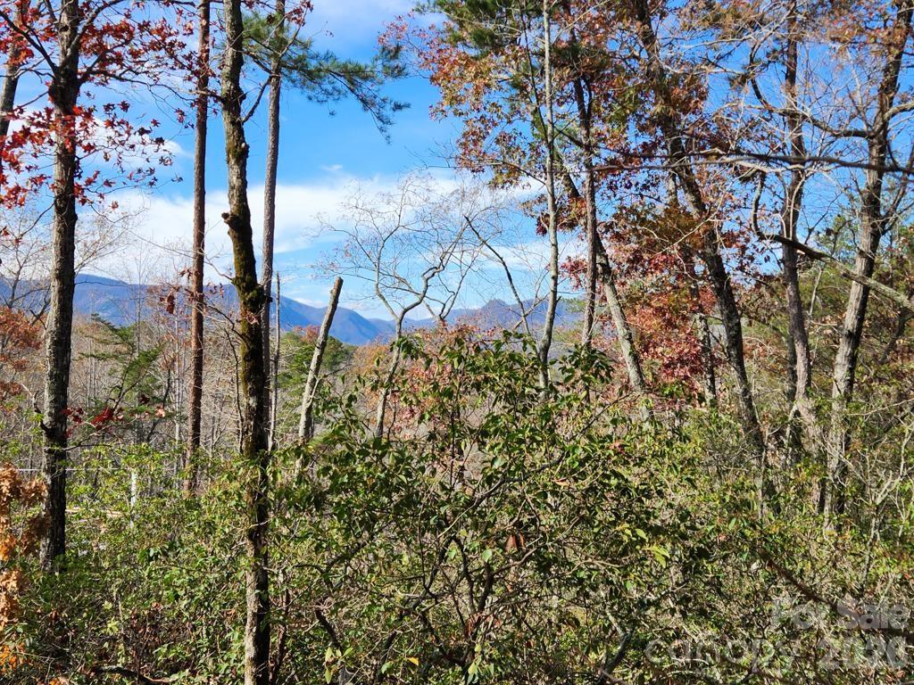 0 Sparrows Way Lake Lure NC 28746