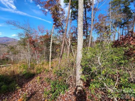0 Sparrows Way Lake Lure NC 28746