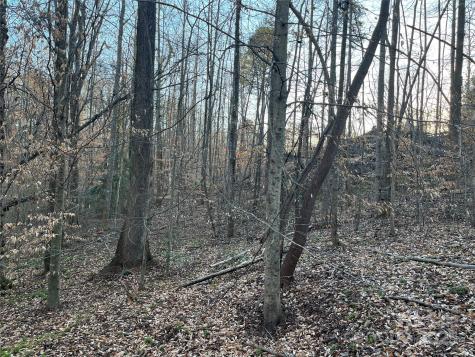 0 Chisholm Trail Rutherfordton NC 28139