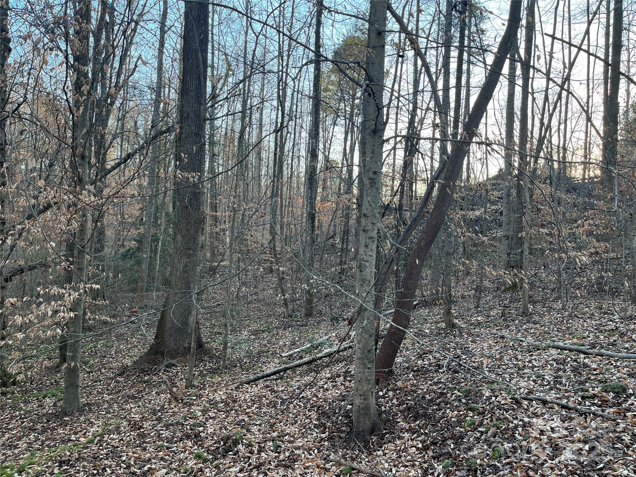 0 Chisholm Trail Rutherfordton NC 28139