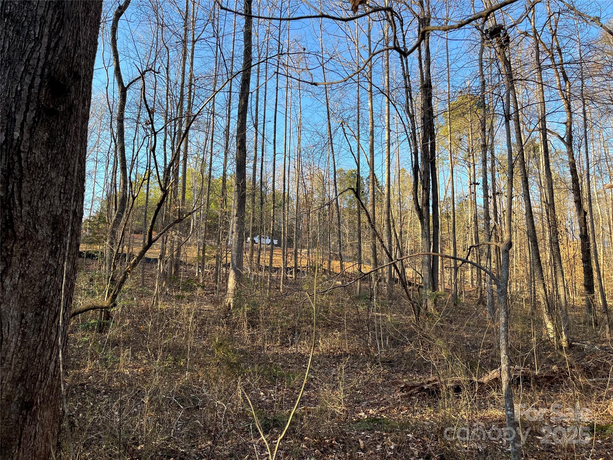 0 Chisholm Trail Rutherfordton NC 28139
