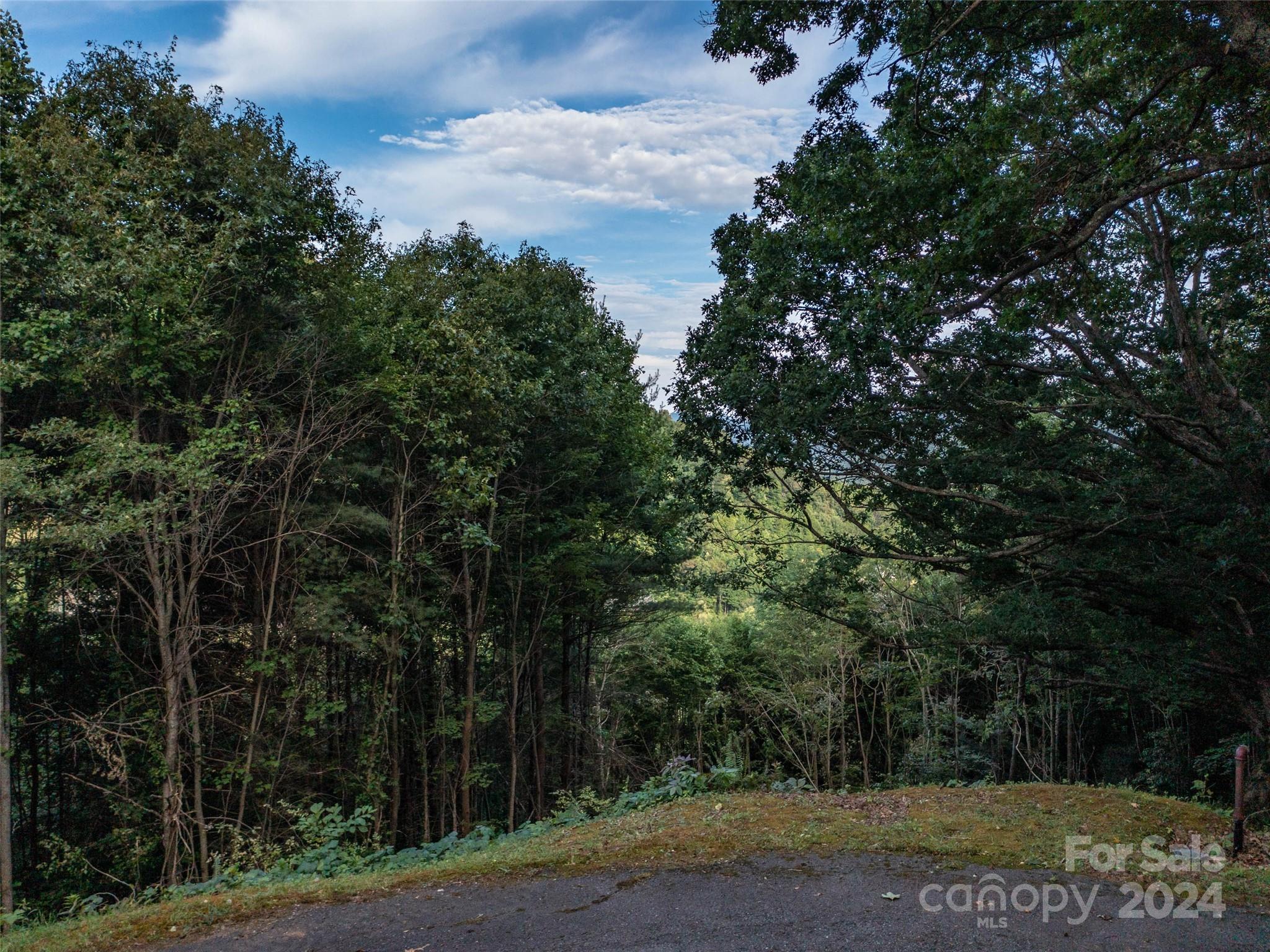 Tbd Rimesdale Way Waynesville NC 28785