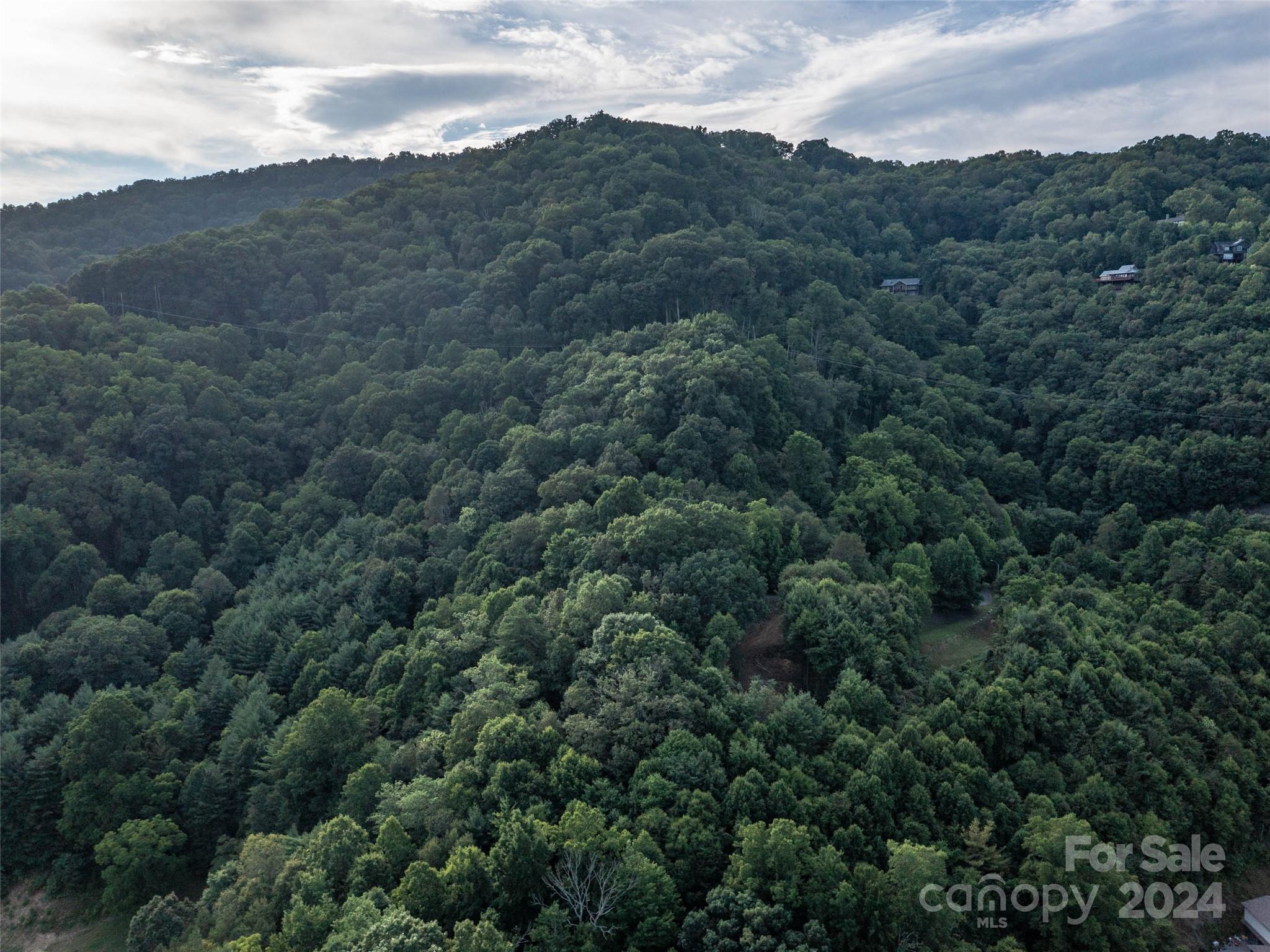 Tbd Rimesdale Way Waynesville NC 28785