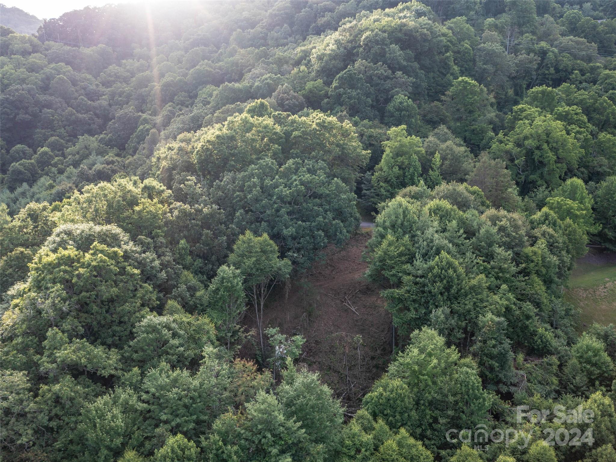 Tbd Rimesdale Way Waynesville NC 28785