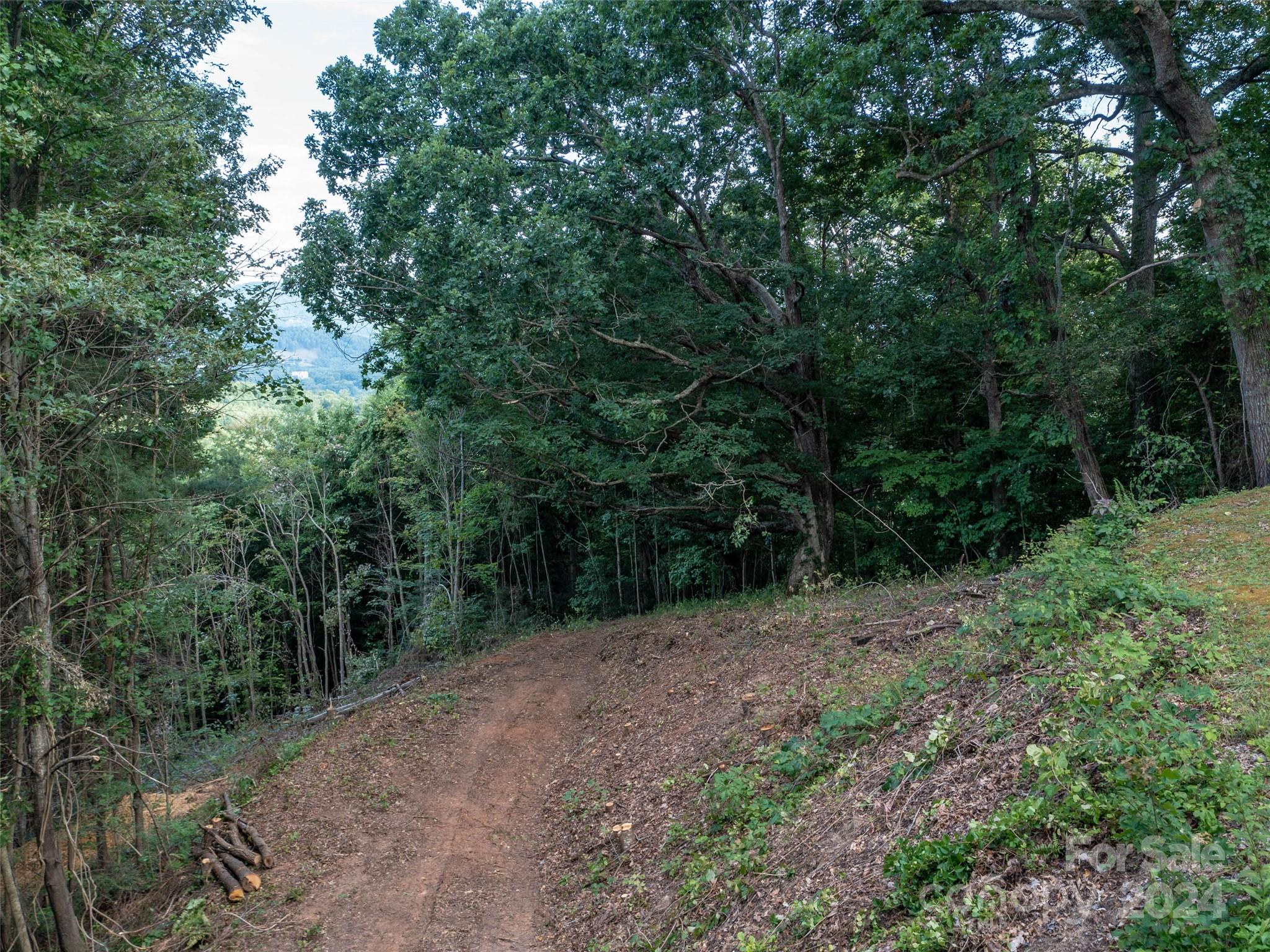 Tbd Rimesdale Way Waynesville NC 28785