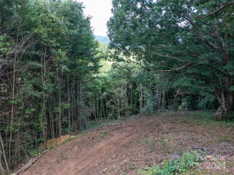 Tbd Rimesdale Way Waynesville NC 28785