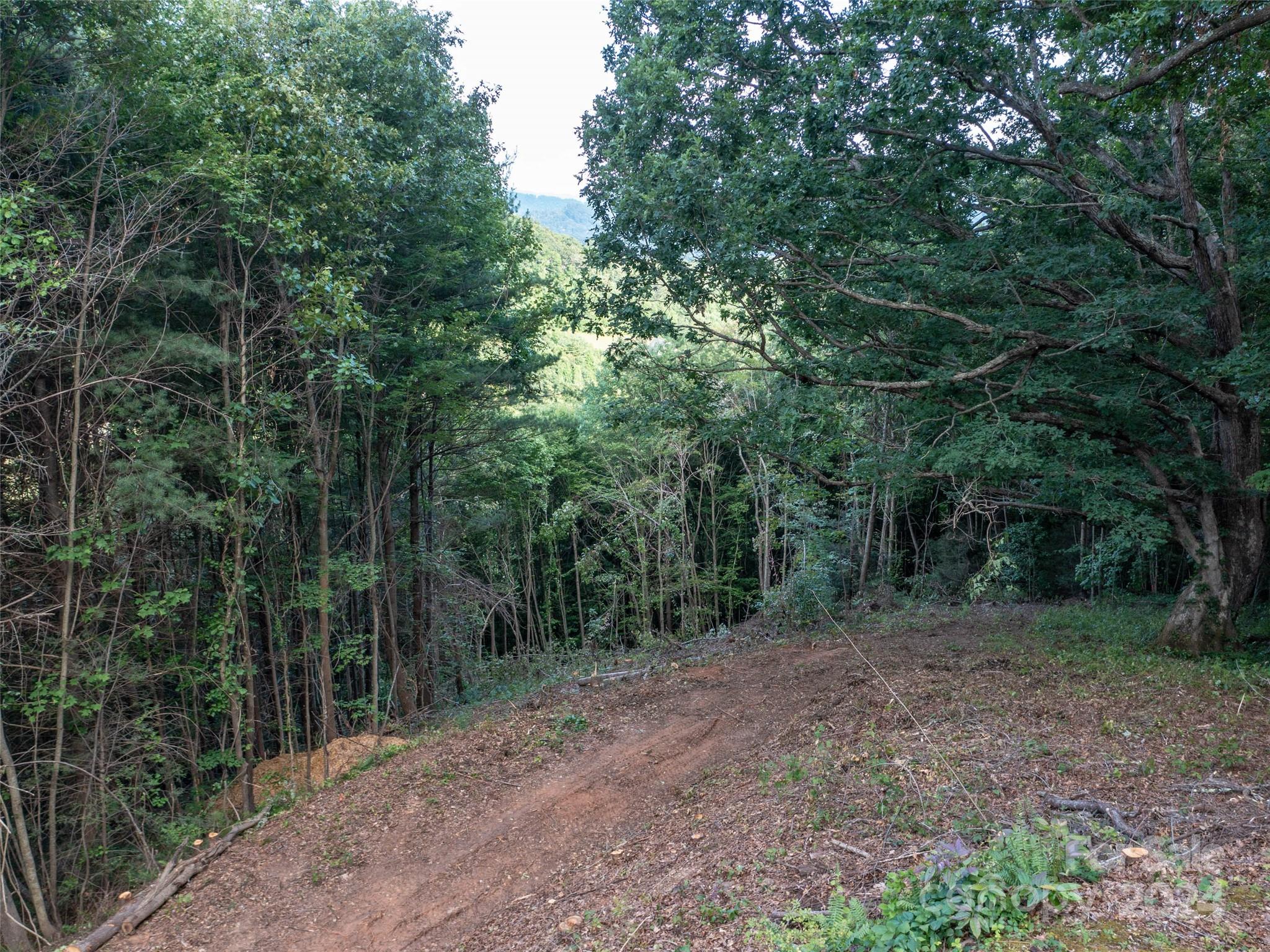 Tbd Rimesdale Way Waynesville NC 28785