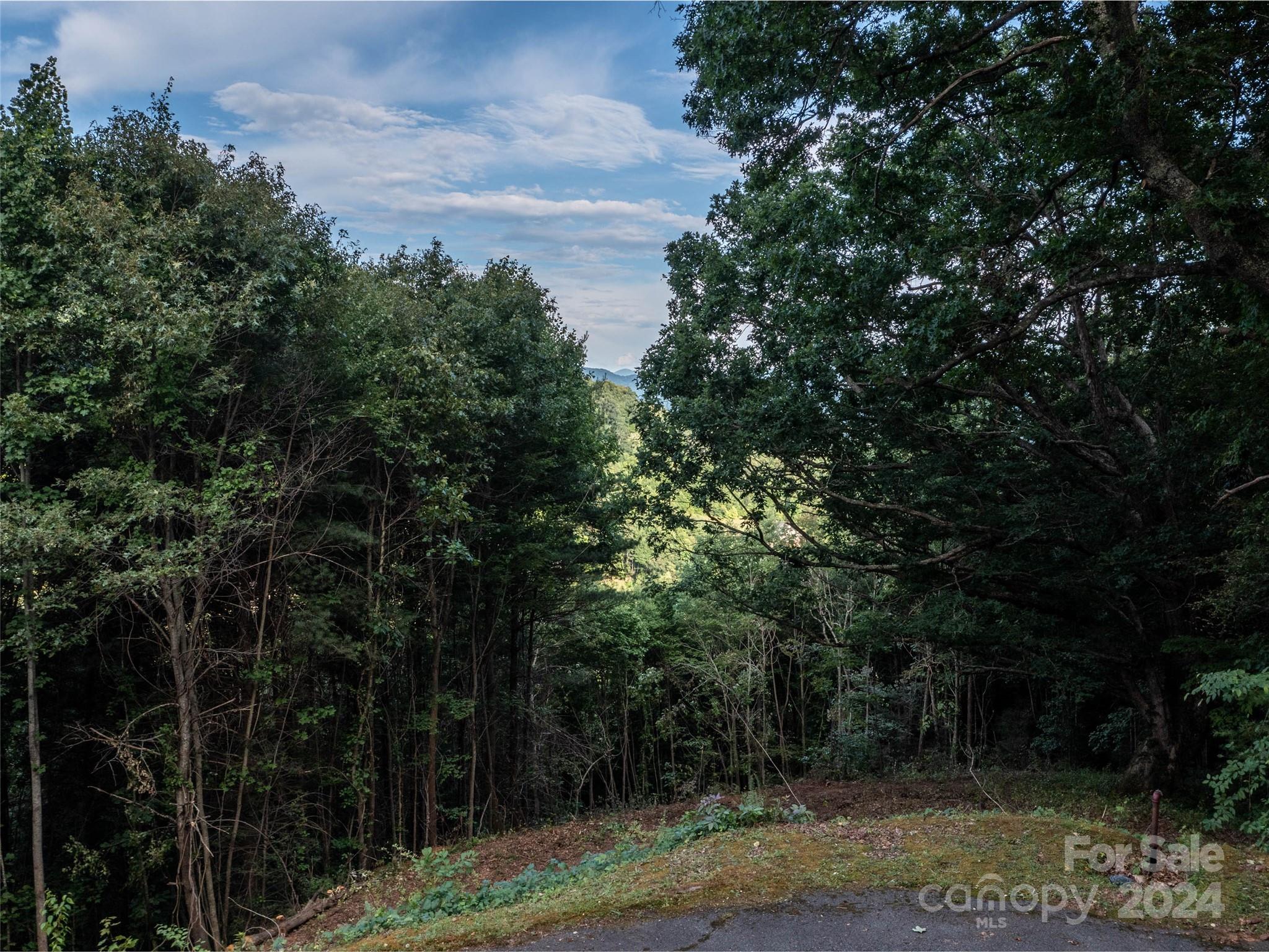 Tbd Rimesdale Way Waynesville NC 28785