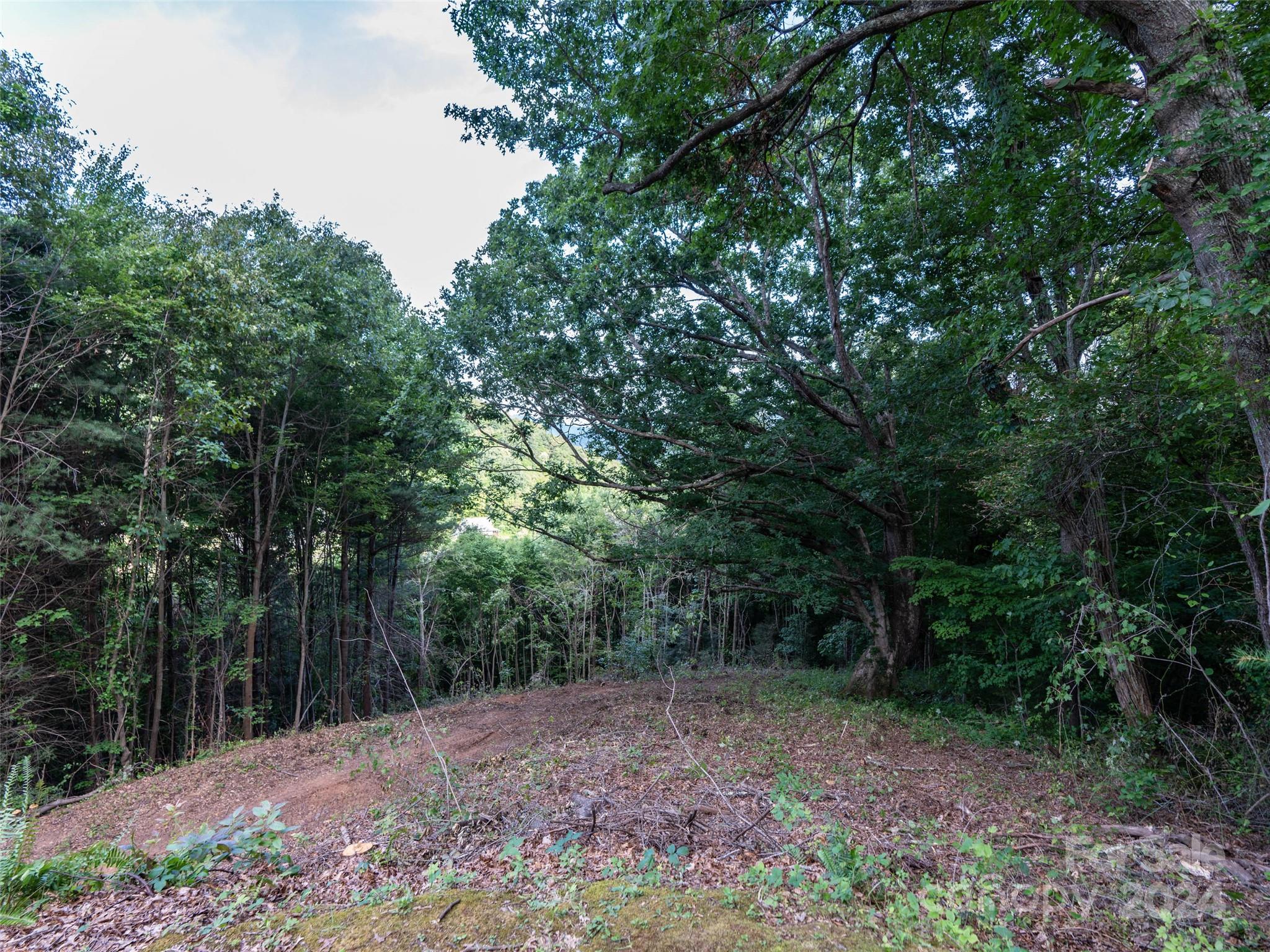 Tbd Rimesdale Way Waynesville NC 28785