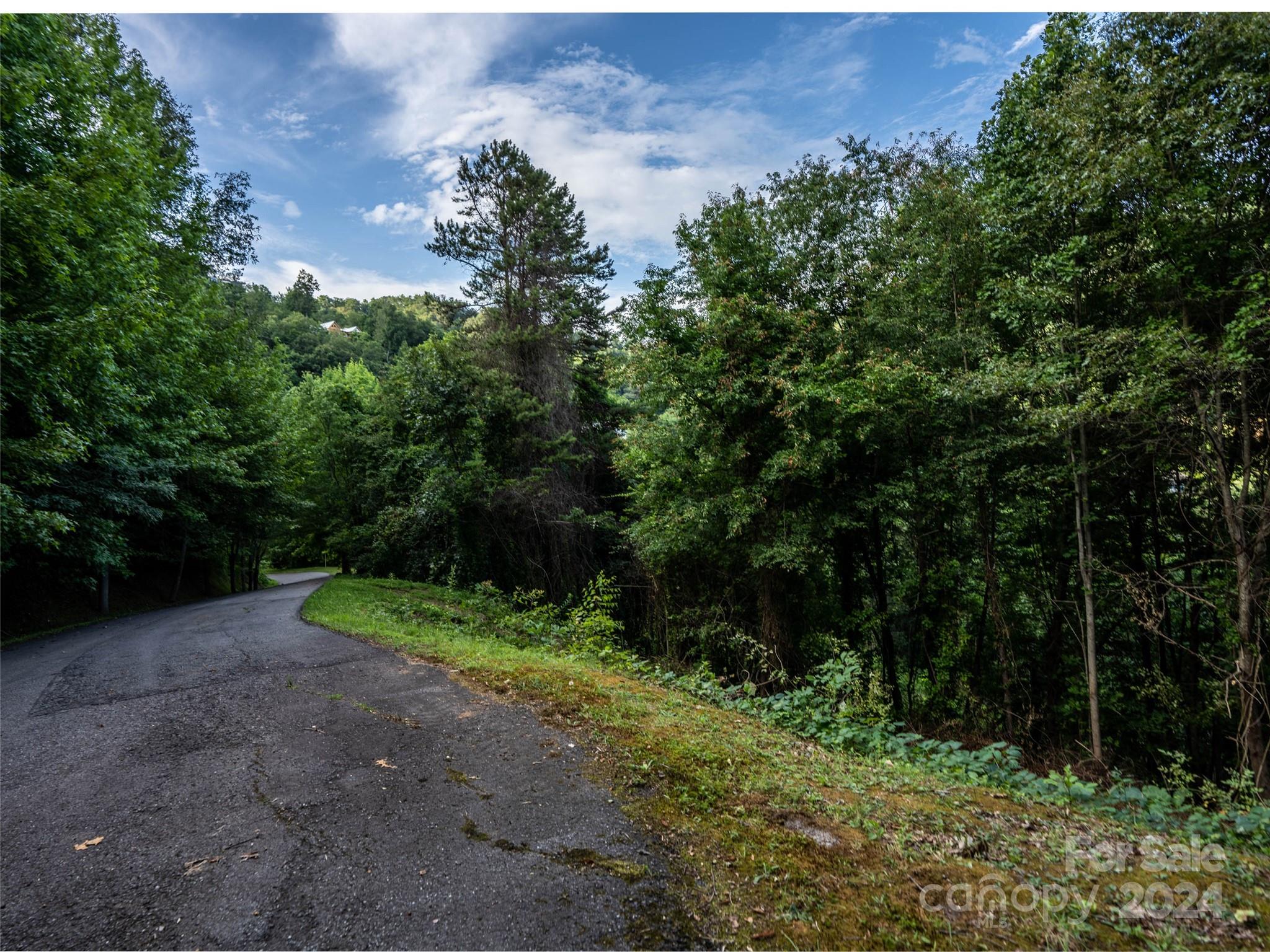 Tbd Rimesdale Way Waynesville NC 28785