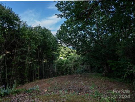 Tbd Rimesdale Way Waynesville NC 28785