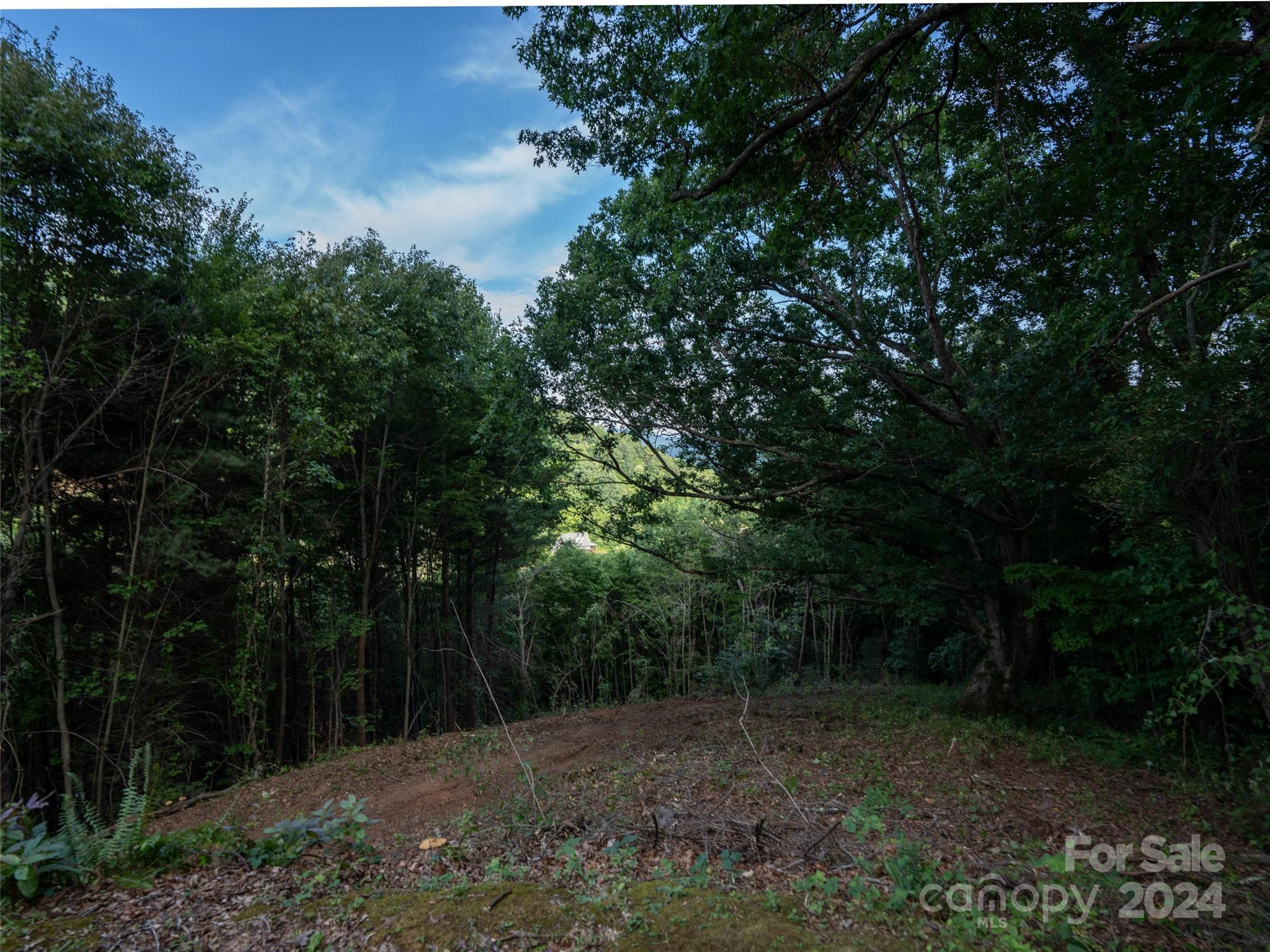 Tbd Rimesdale Way Waynesville NC 28785