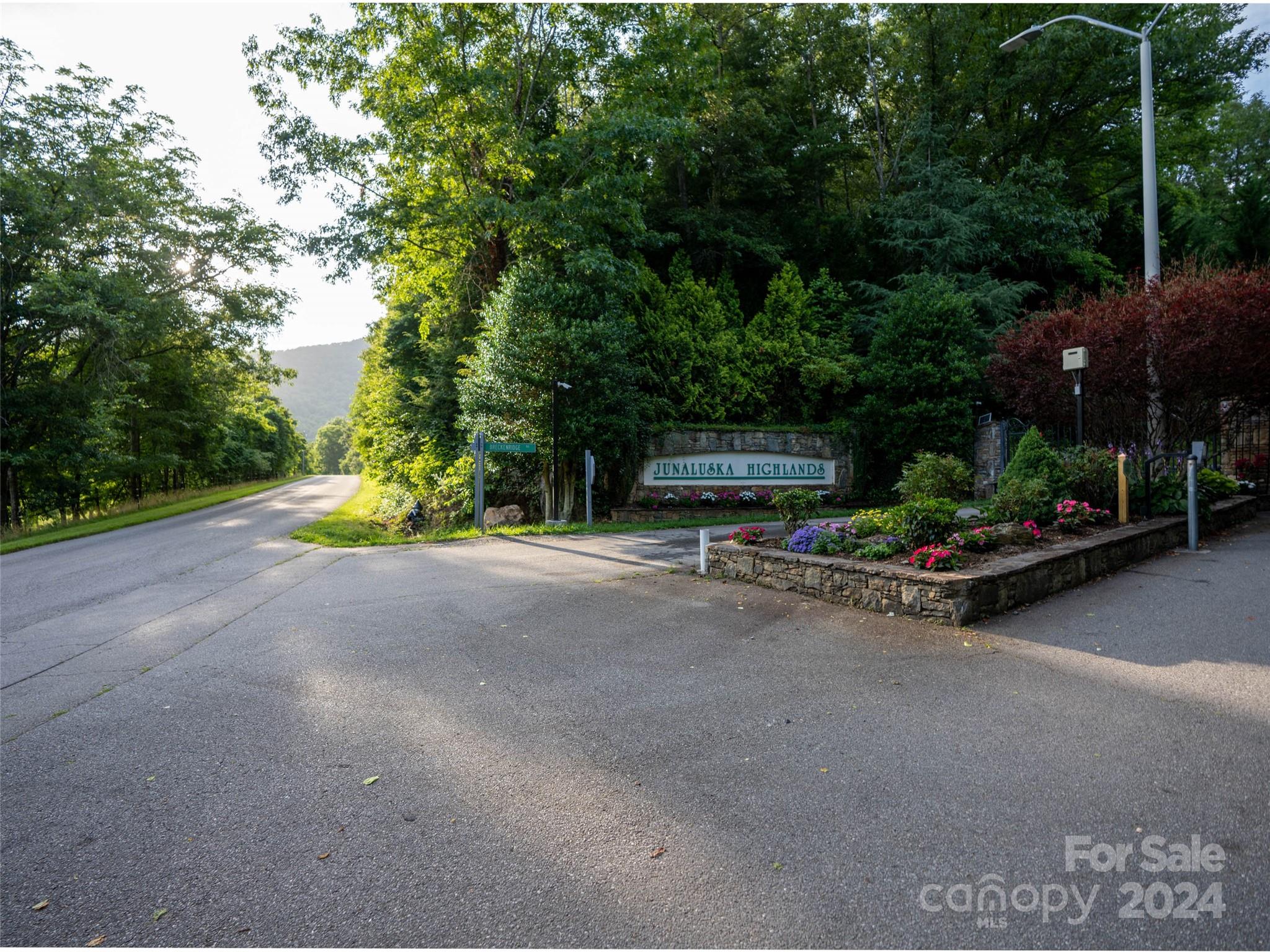 Tbd Rimesdale Way Waynesville NC 28785