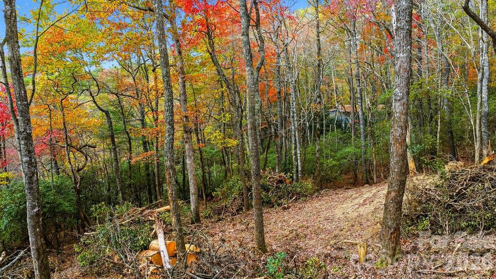 000 Indian Lake Road Lake Toxaway NC 28747