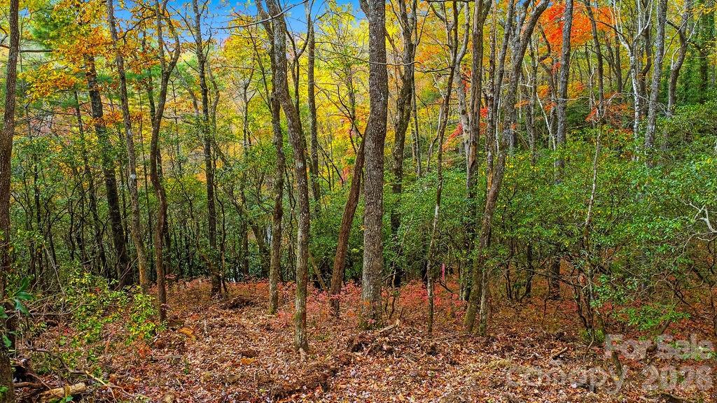 000 Indian Lake Road Lake Toxaway NC 28747