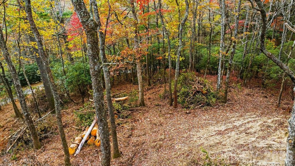 000 Indian Lake Road Lake Toxaway NC 28747