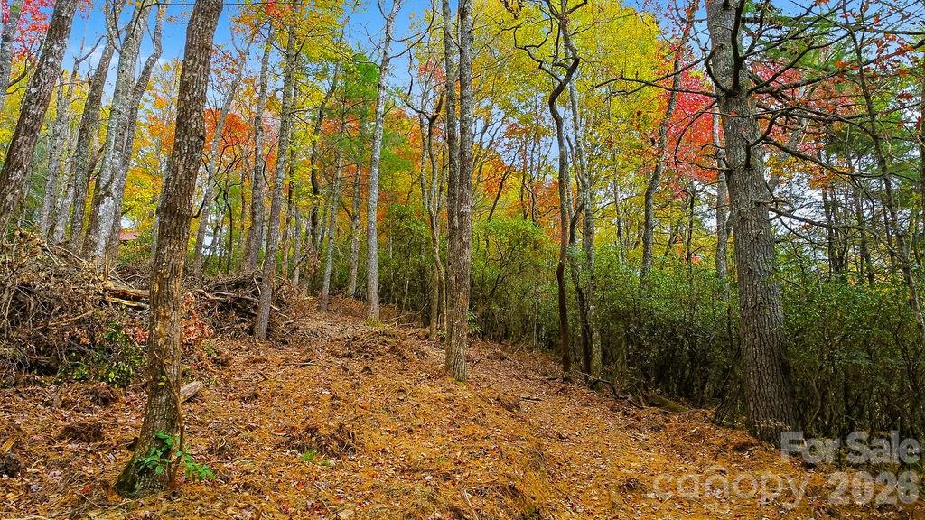 000 Indian Lake Road Lake Toxaway NC 28747