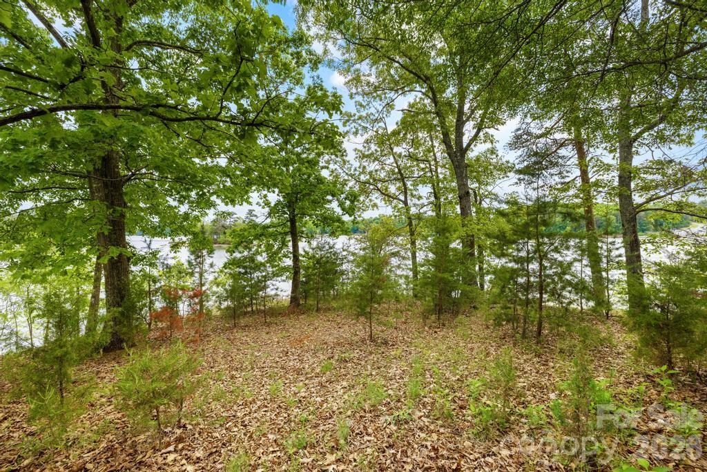 265 S Harbor Watch Drive Statesville NC 28677