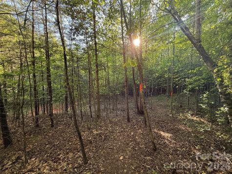Lot # 5 West Legacy Drive Hendersonville NC 28739