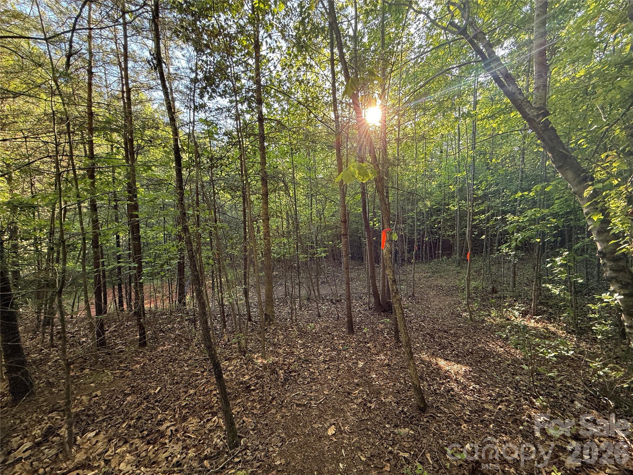 Lot # 5 West Legacy Drive Hendersonville NC 28739