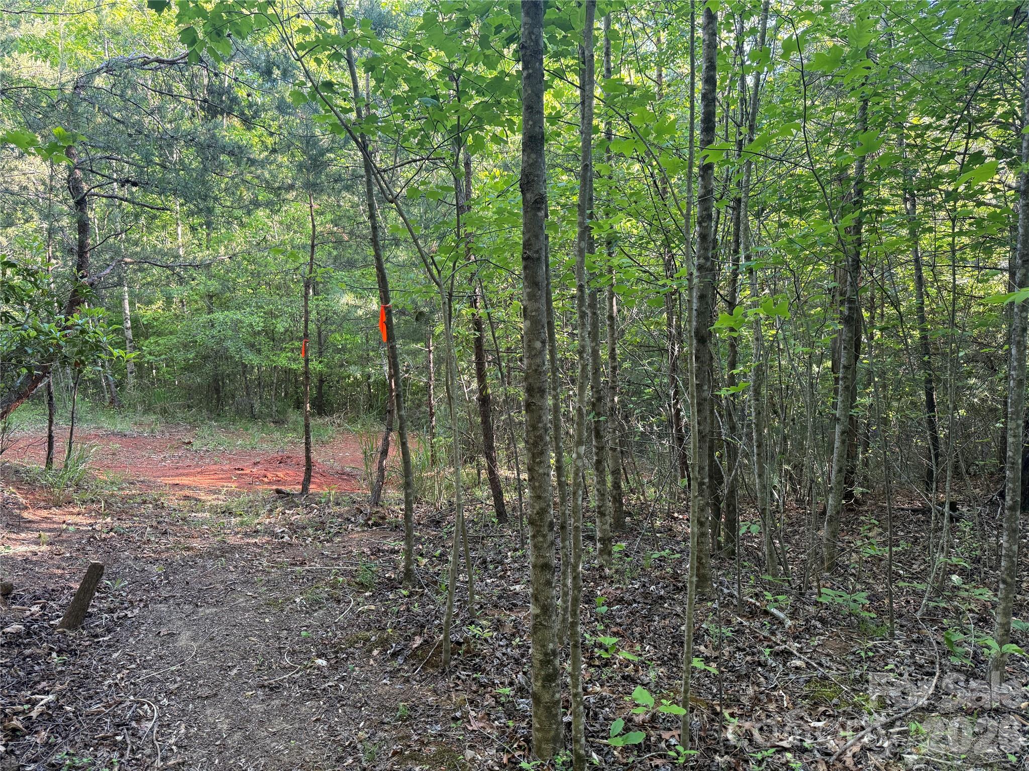 Lot # 5 West Legacy Drive Hendersonville NC 28739