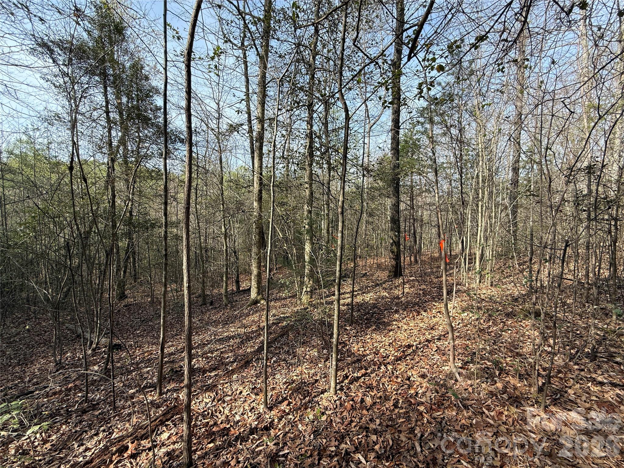 Lot # 5 West Legacy Drive Hendersonville NC 28739